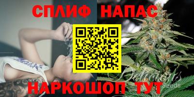 молекула духа Владикавказ